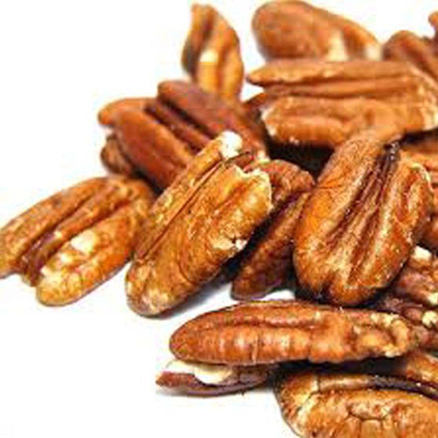 Low Carb Medium Protein