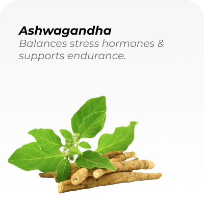Product Highlight 1